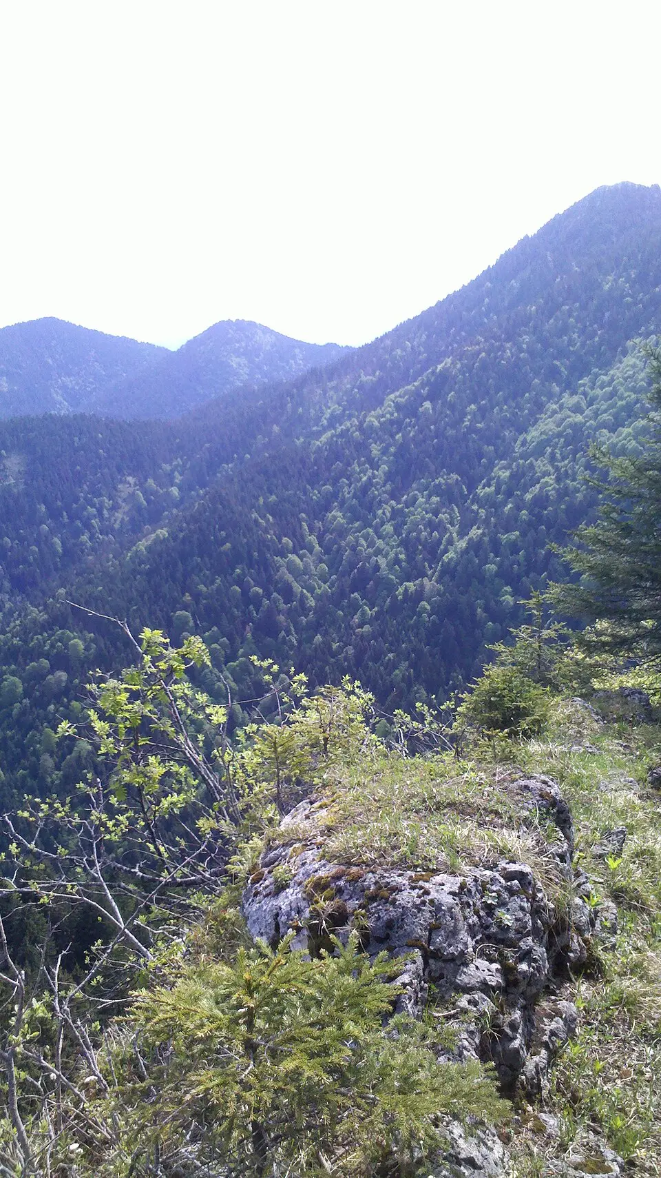 Schwarzwand