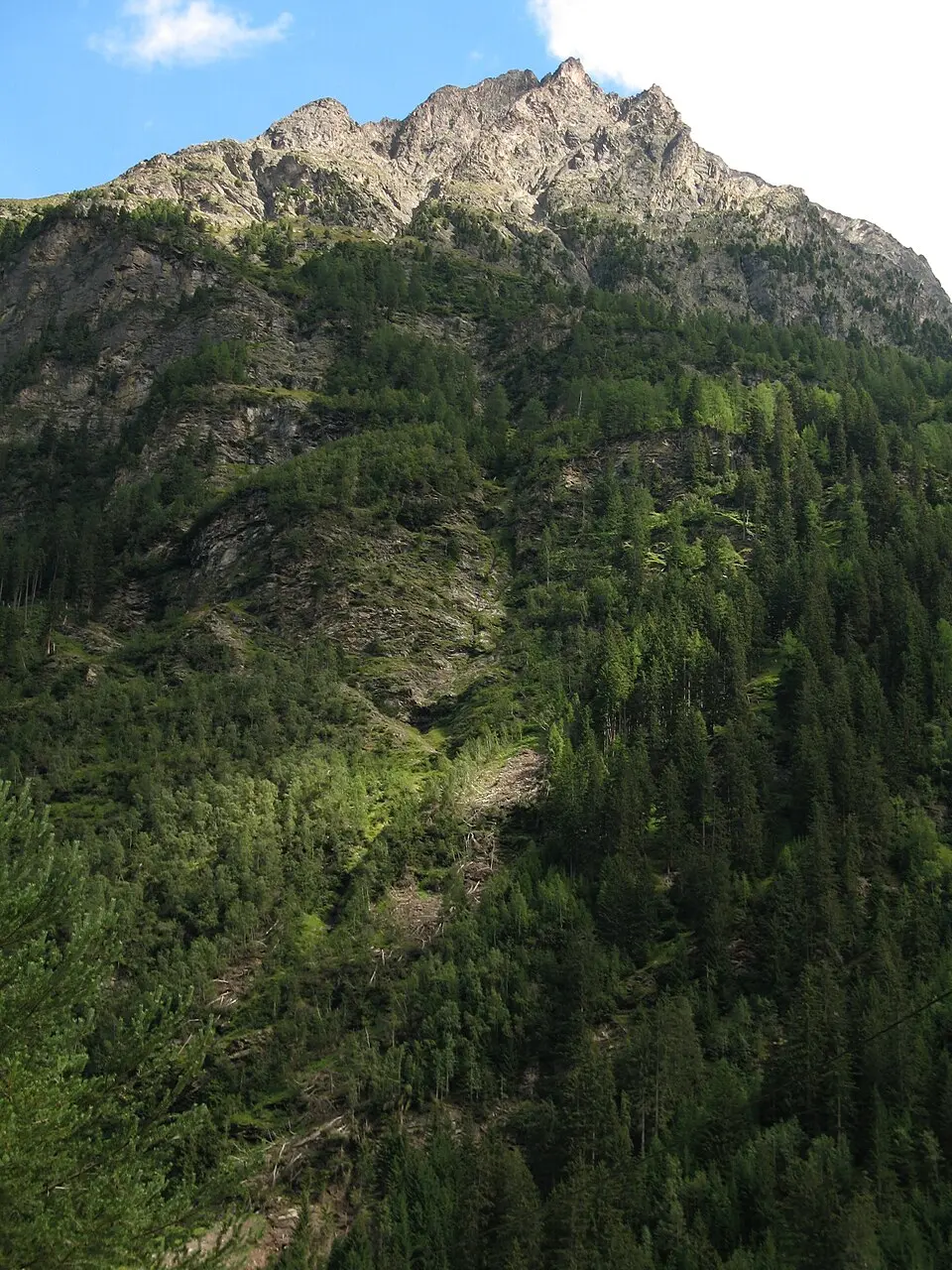 Image: Christoph Praxmarer · CC BY-SA 2.5 Schweikert
