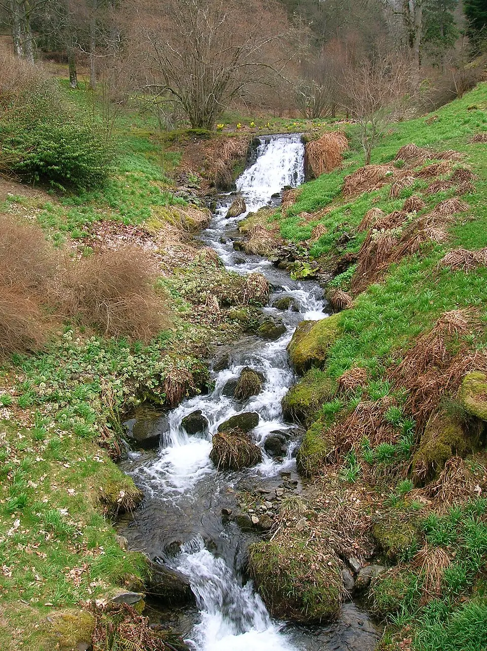 Dawyck Botanic Garden