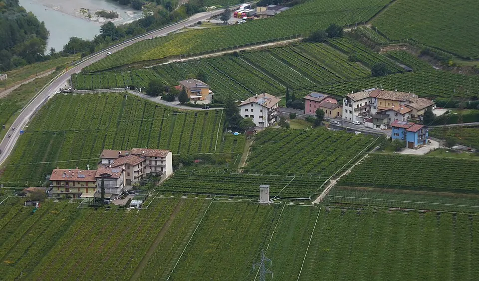 Sdruzzinà