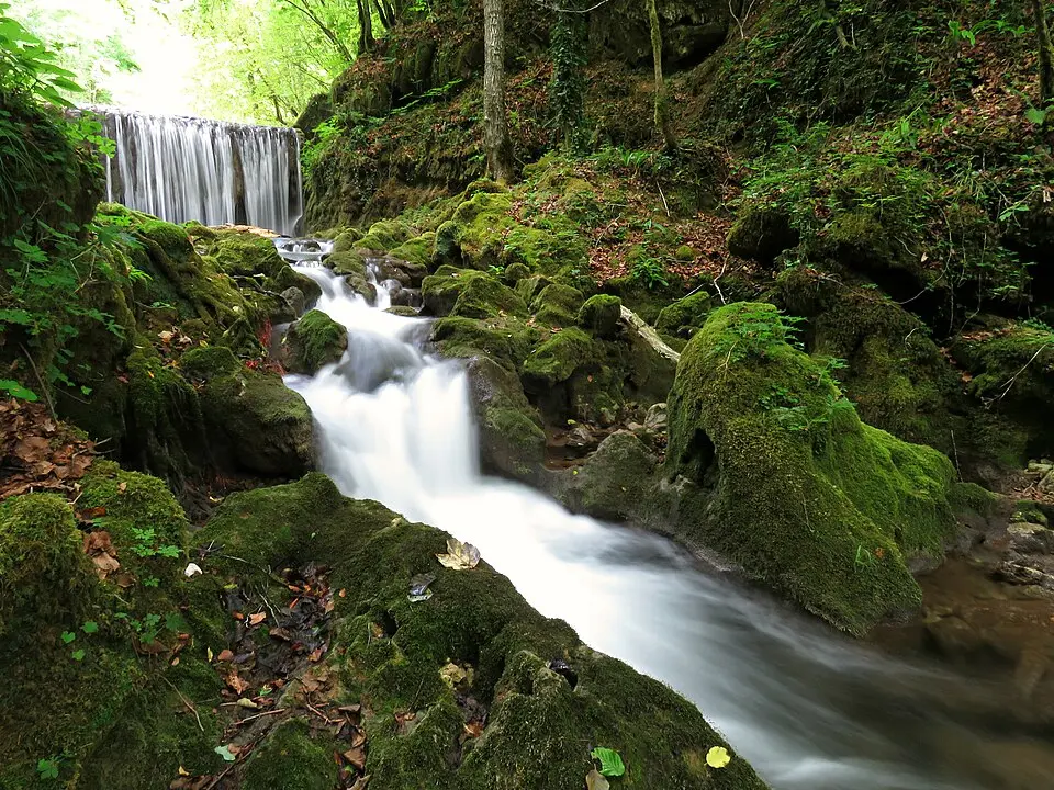 Slapnica