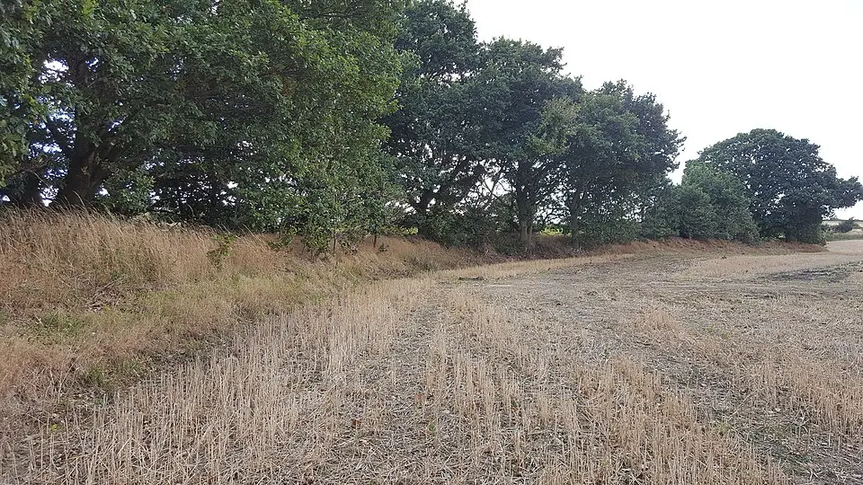 Roman Ridge: section 400yds (370m) long S of Abdy Farm