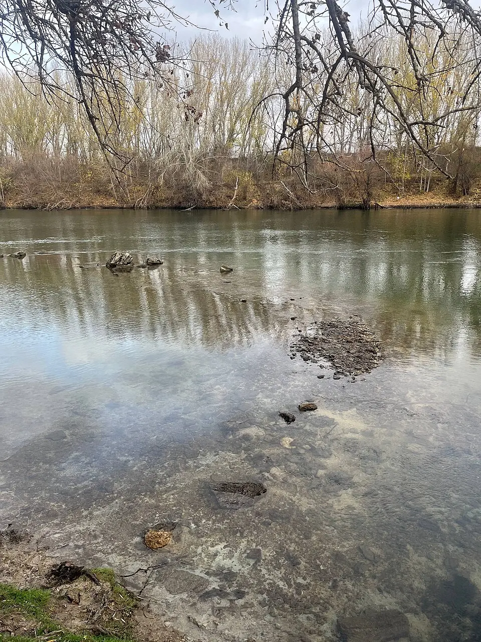 Vadul domnesc de pe Nistru