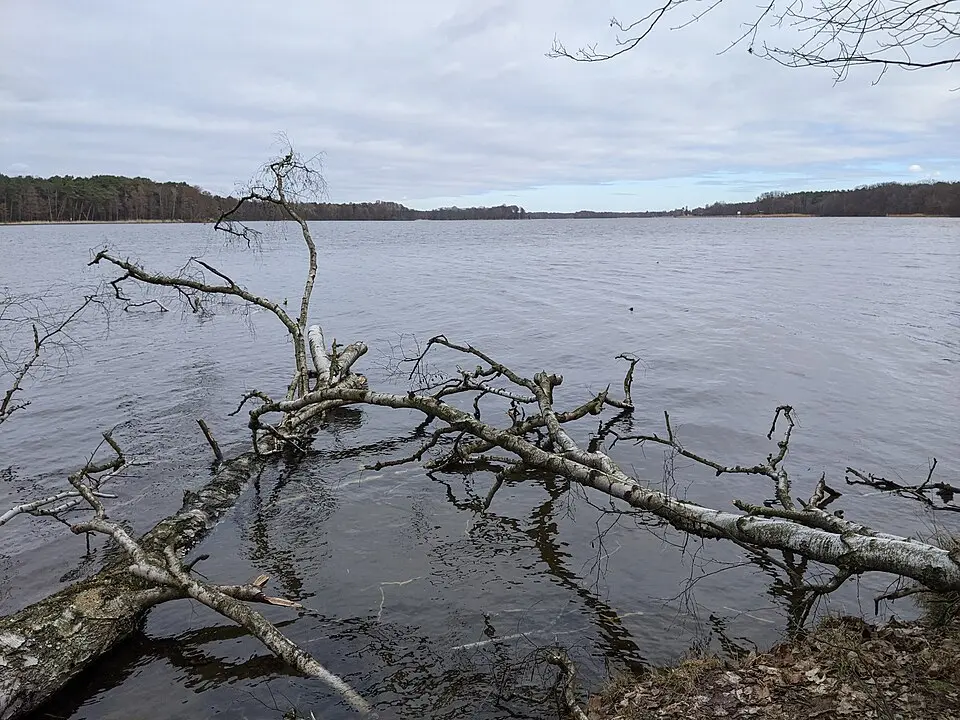 Seddinsee