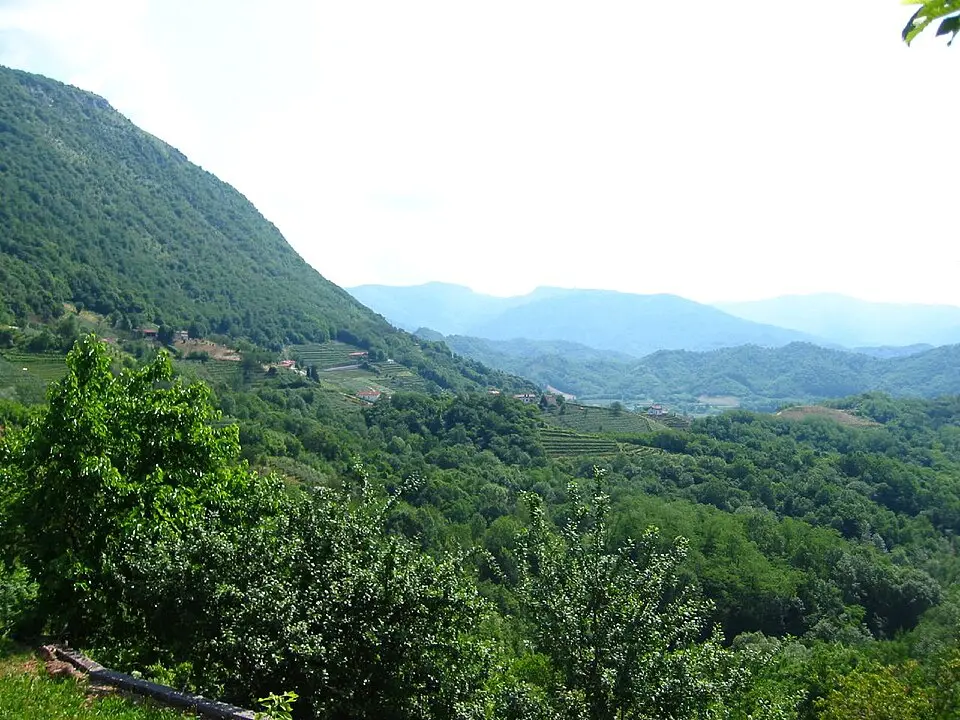 Sedilis