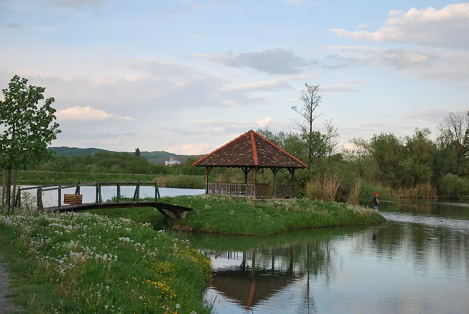 Bročice