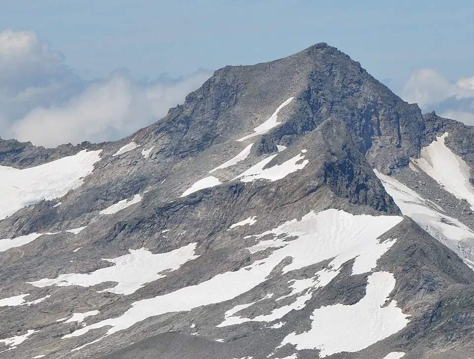 Seekopf