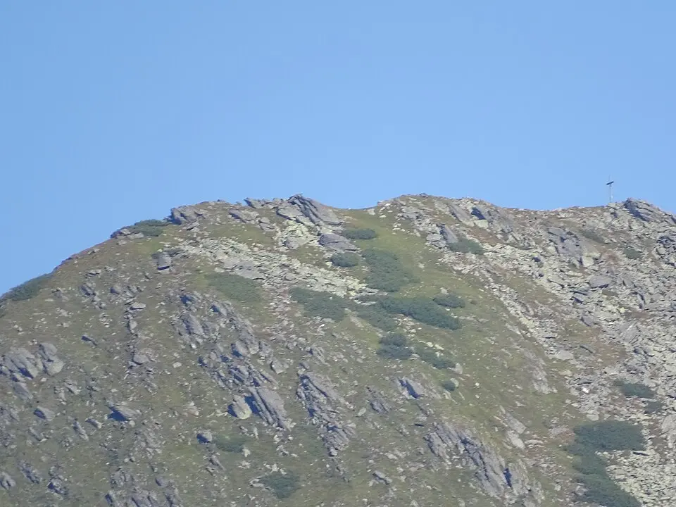 Seekoppe