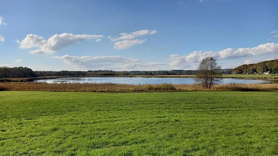 Seeleithensee und angrenzende Streuwiesen