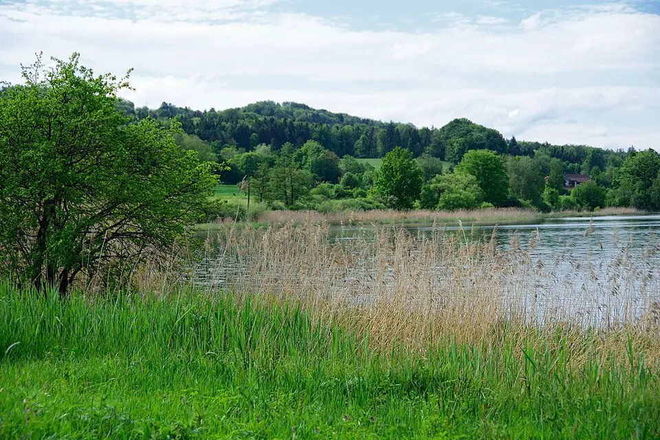 Seeufersiedlung