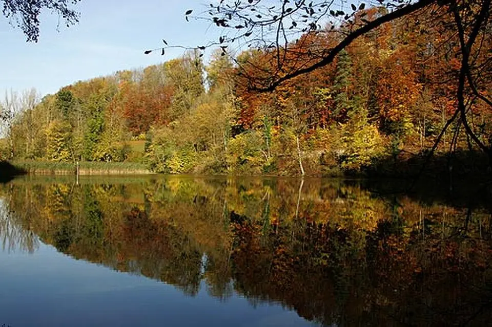 Baslerweiher