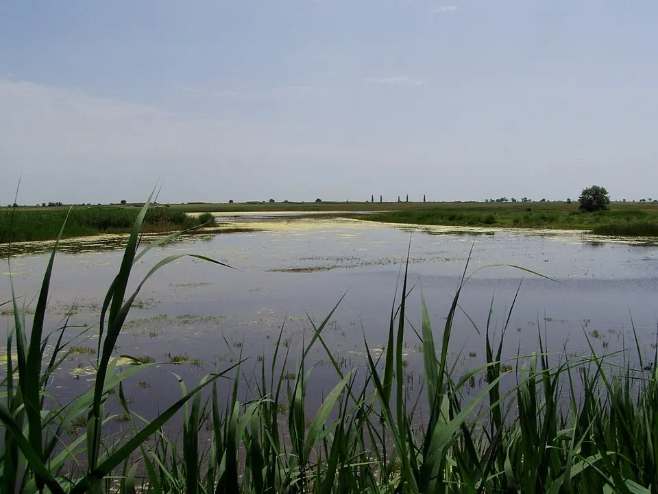 Nationalpark Neusiedler See-Seewinkel