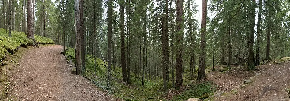 Seitseminen