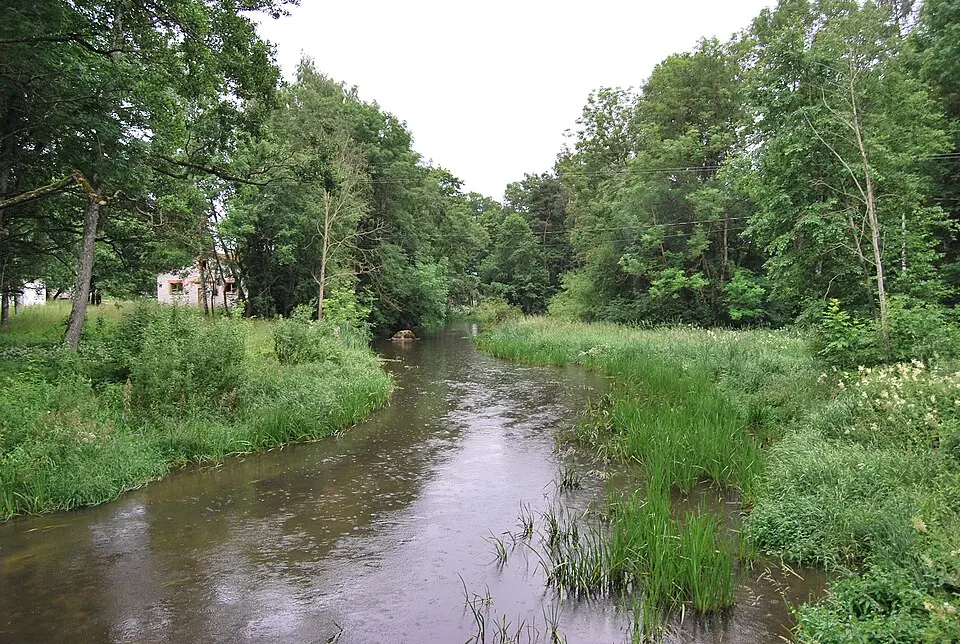 Selja jõgi