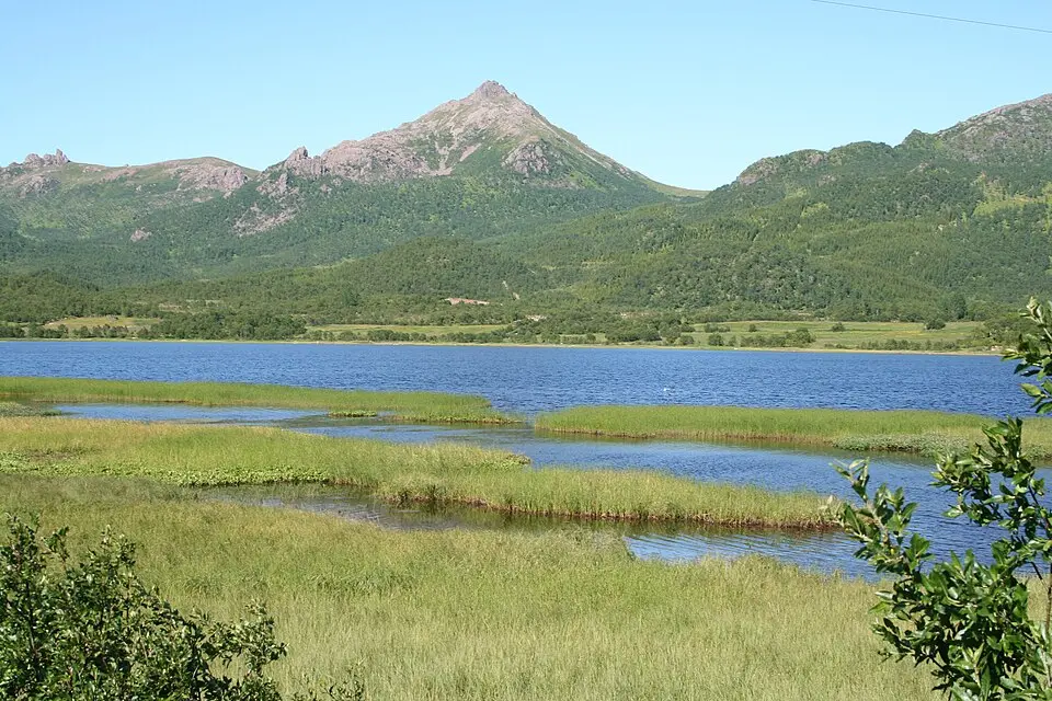 Selnesvatnet naturreservat