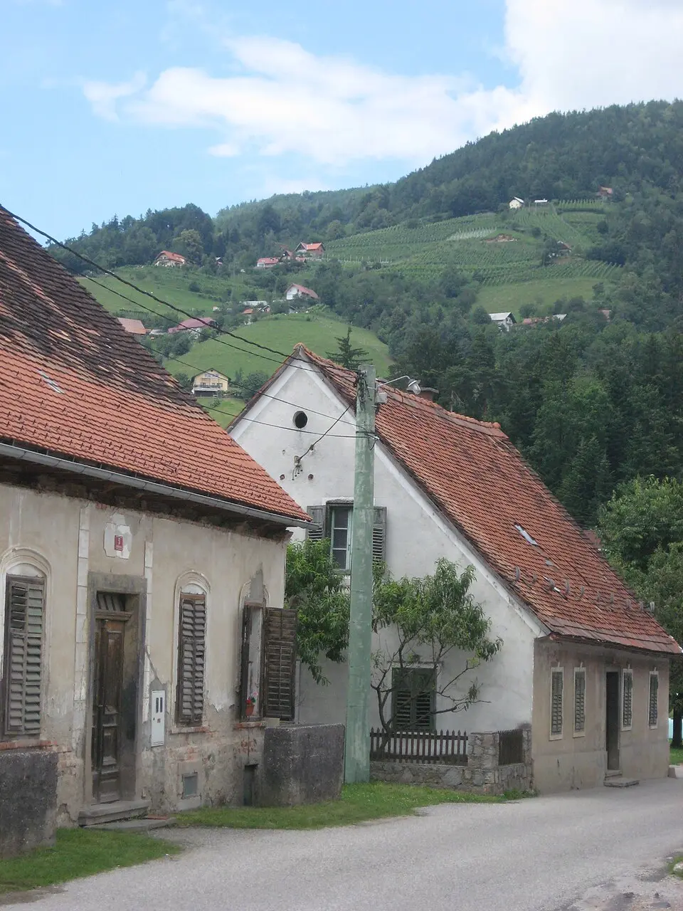 Občina Selnica ob Dravi