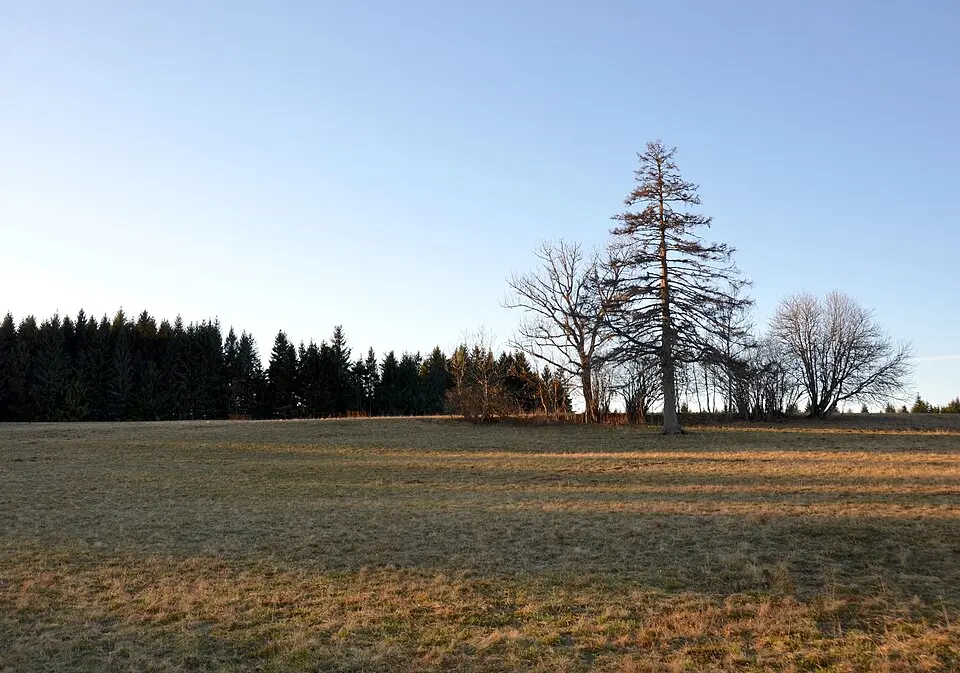 Wandbühl