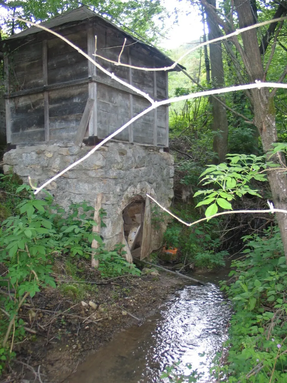 Medvednik