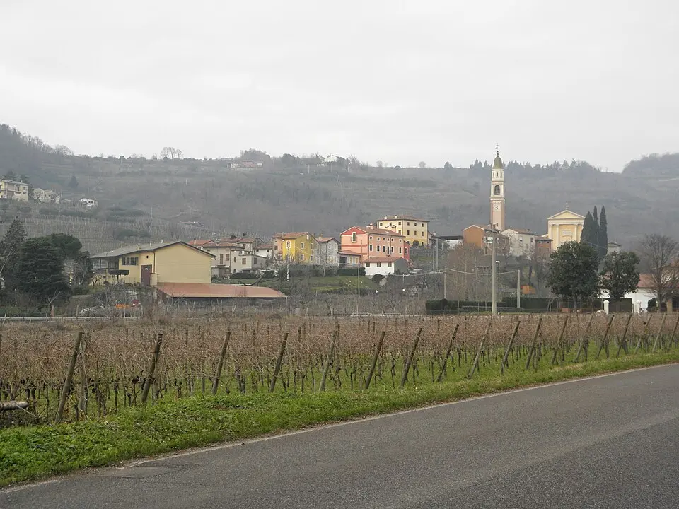 Selva