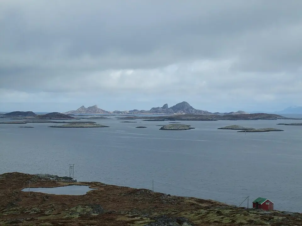 Selvær