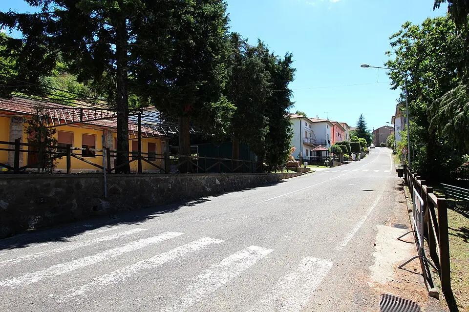 Selva