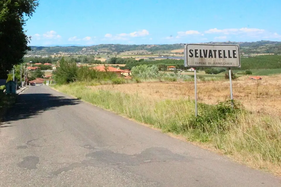 Selvatelle