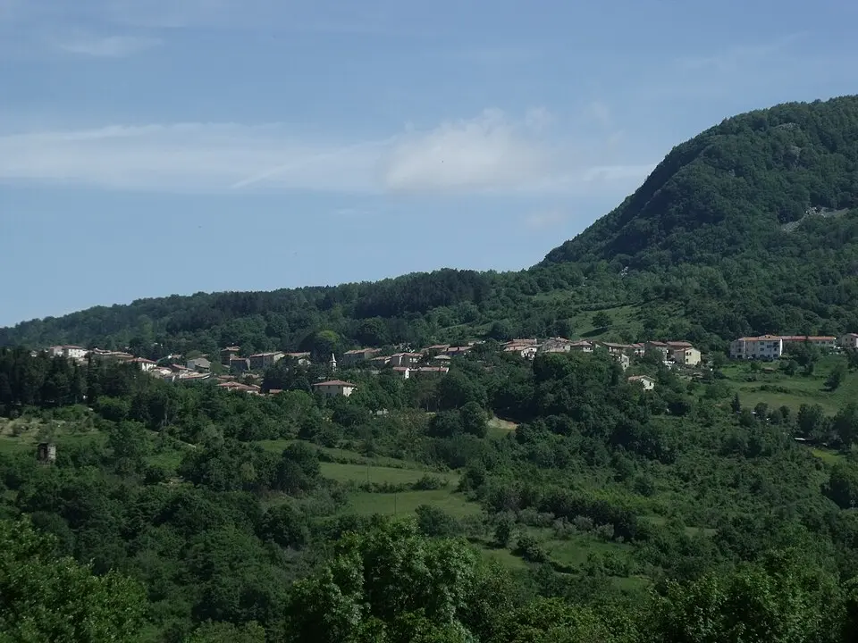 Selvena