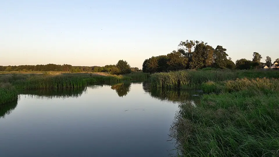 Зальвянка