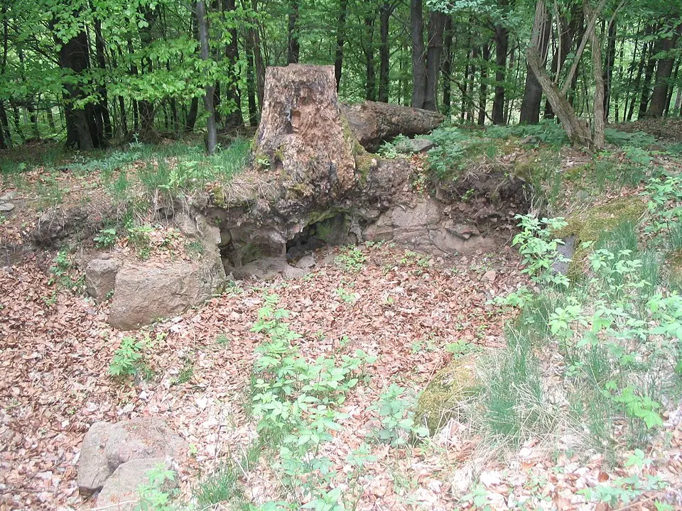 Image: J. Braukmann Milseburg · CC BY-SA 3.0 Naxburg