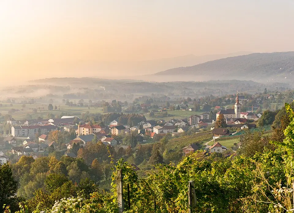 Municipality of Semič