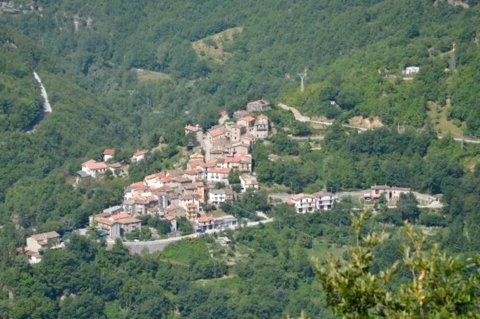 Senarica
