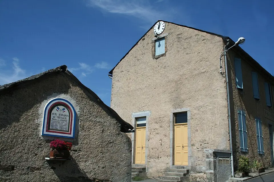 Senaux