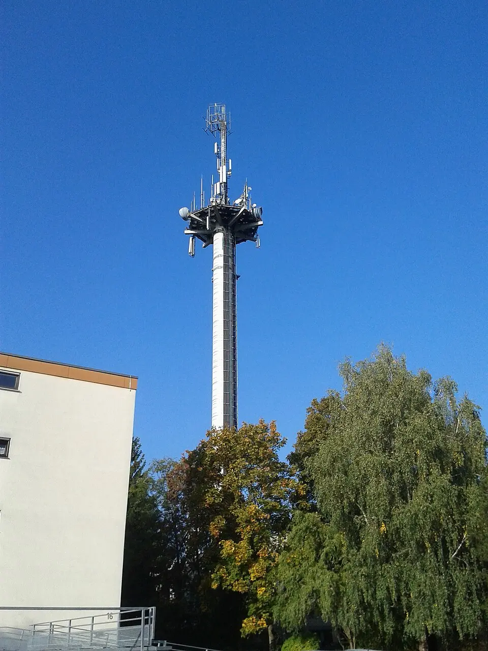 Image: Fruchtzwerg94 · CC BY-SA 3.0 DE Sender Friedrichshafen