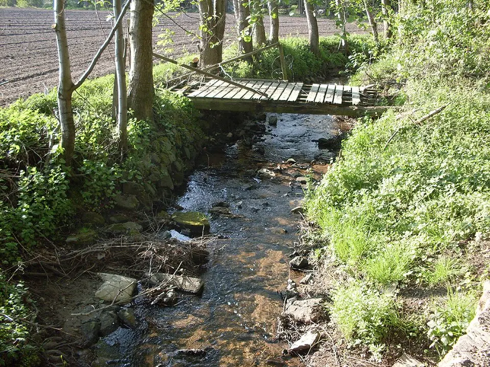 Strothbach