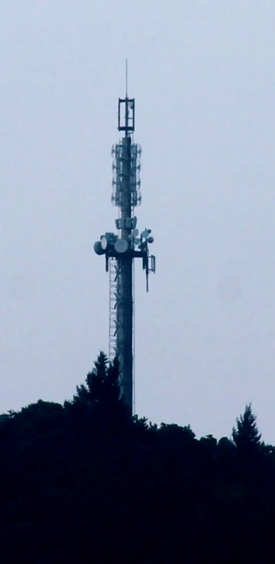Wattkopf