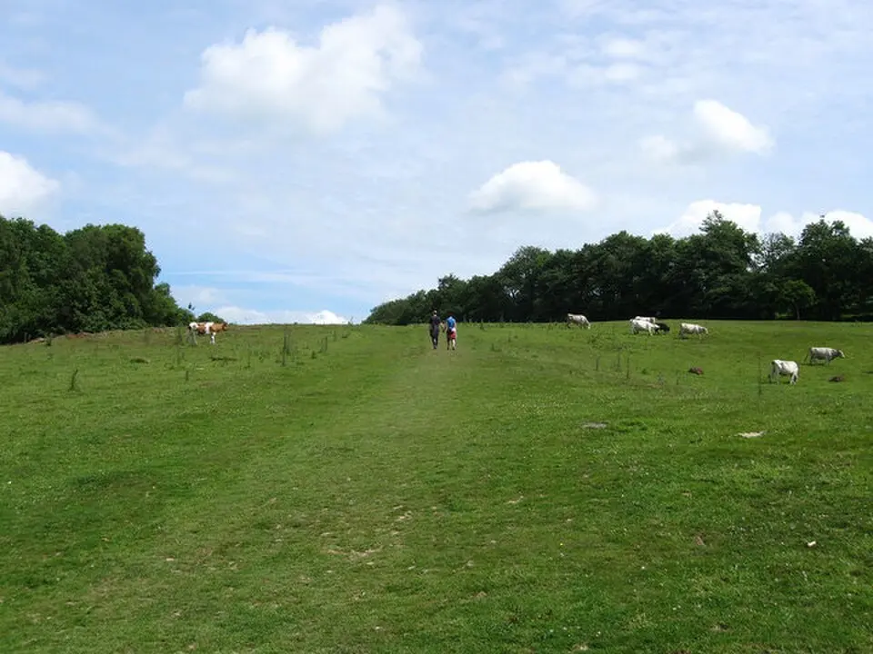 Senlac Hill