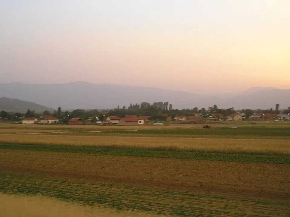 Сенокос