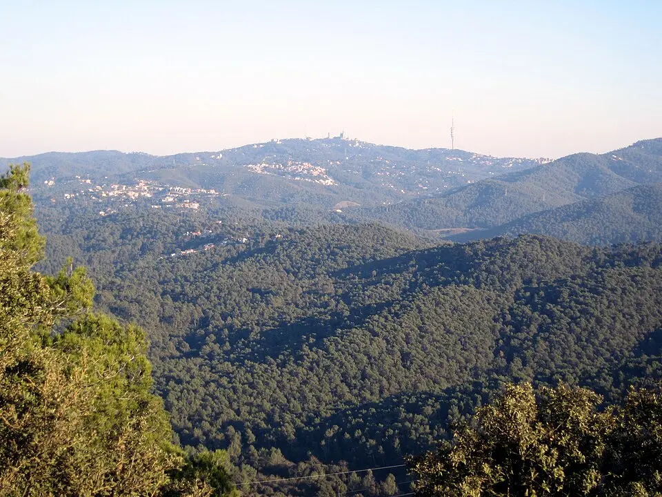 Sierra de Collserola
