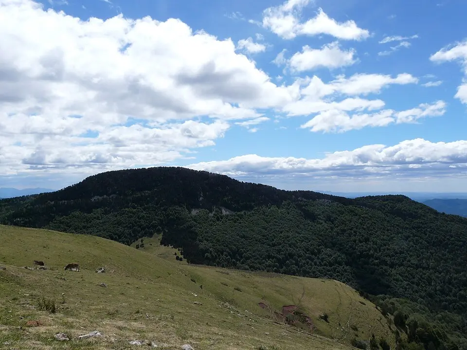 Sant Amand