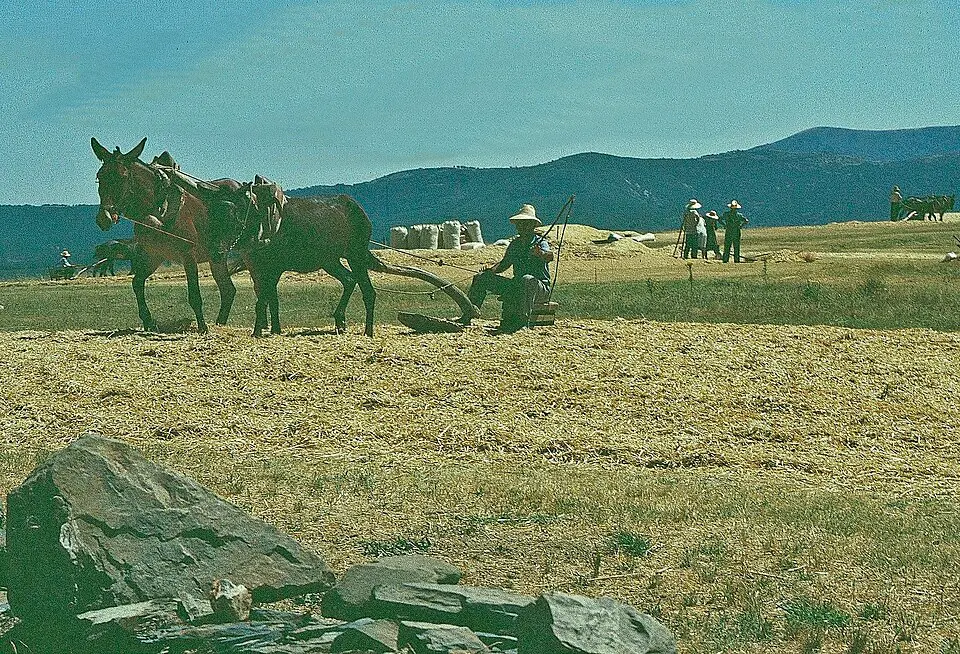 Serradilla del Llano
