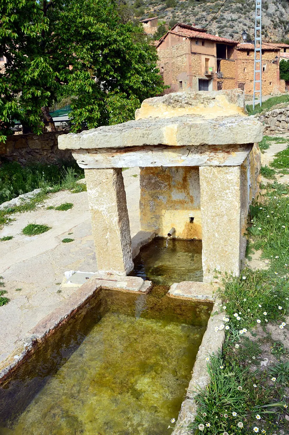 Fuente de Sesga