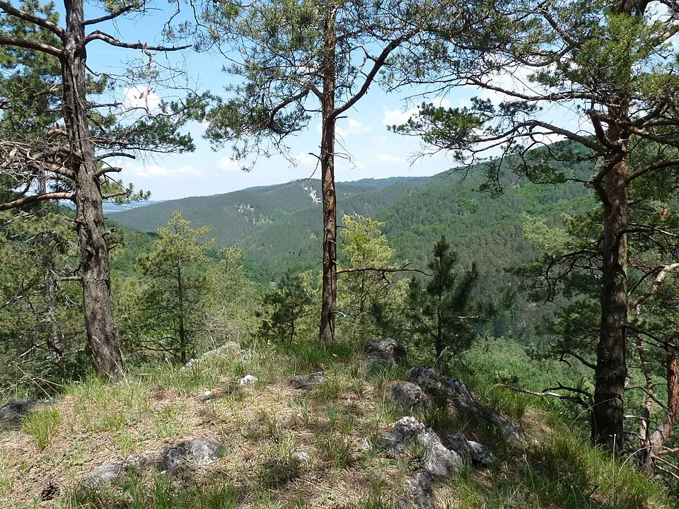 Ševcova skala