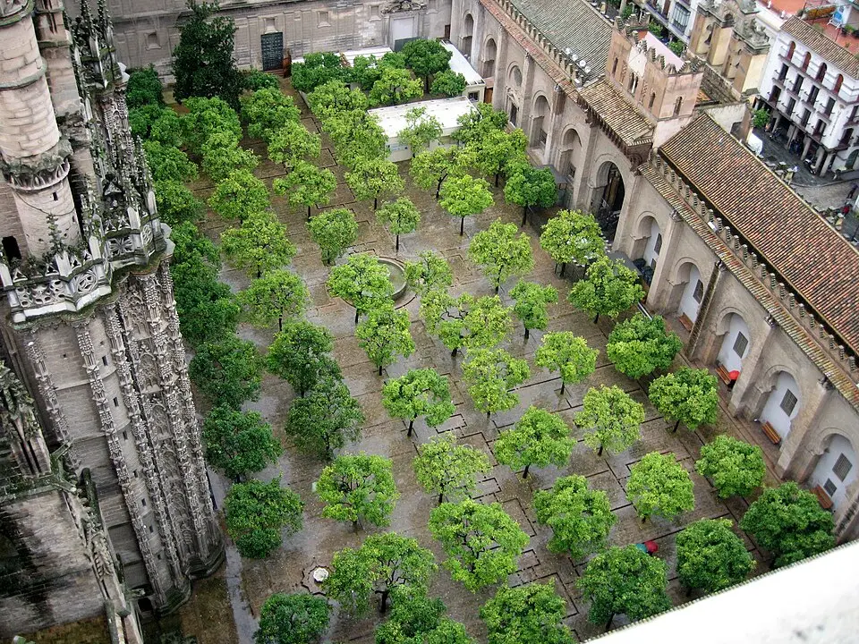 Patio de los Naranjos