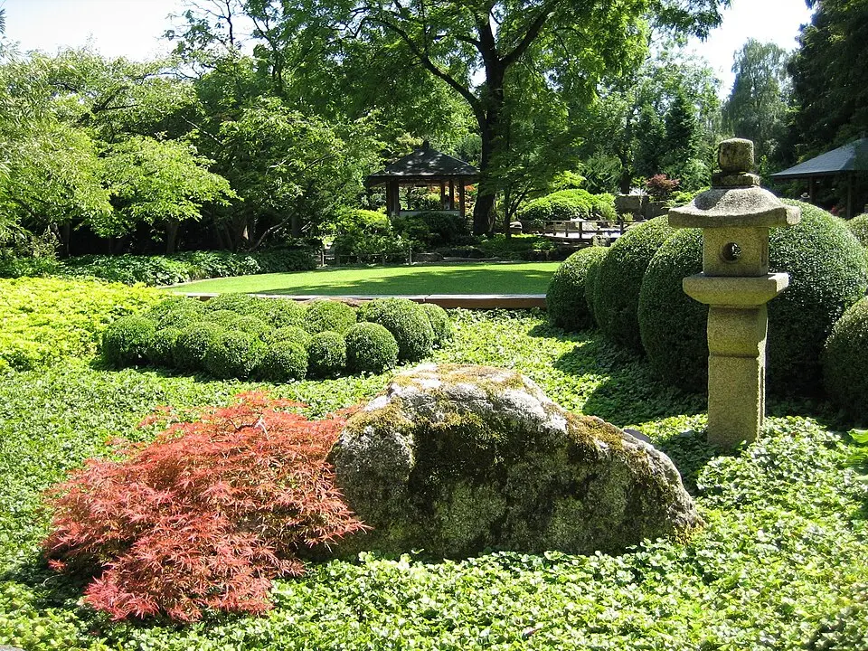 Image: Alois Wüst 15:45, 3 August 2007 (UTC) · CC BY-SA 3.0 Botanischer Garten Augsburg