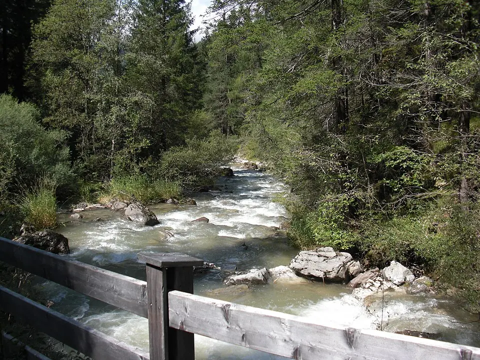 Immagine: Steinsplitter · CC BY-SA 3.0 Rio Sesto