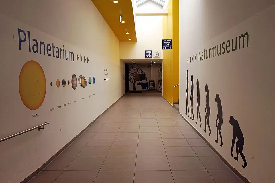 Bild: Tiia Monto · CC BY-SA 3.0 Naturmuseum Augsburg