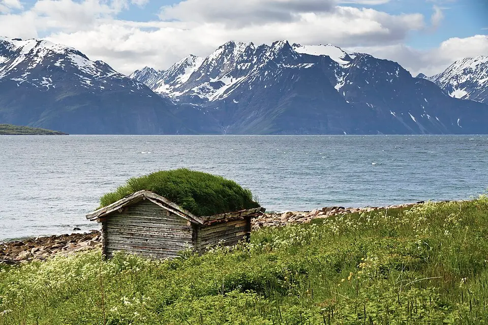 Lyngen