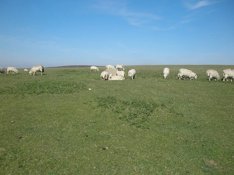 Remains of Exceat parish church: part of the former medieval settlement of Exceat, 690m south south west of Westdean Manor