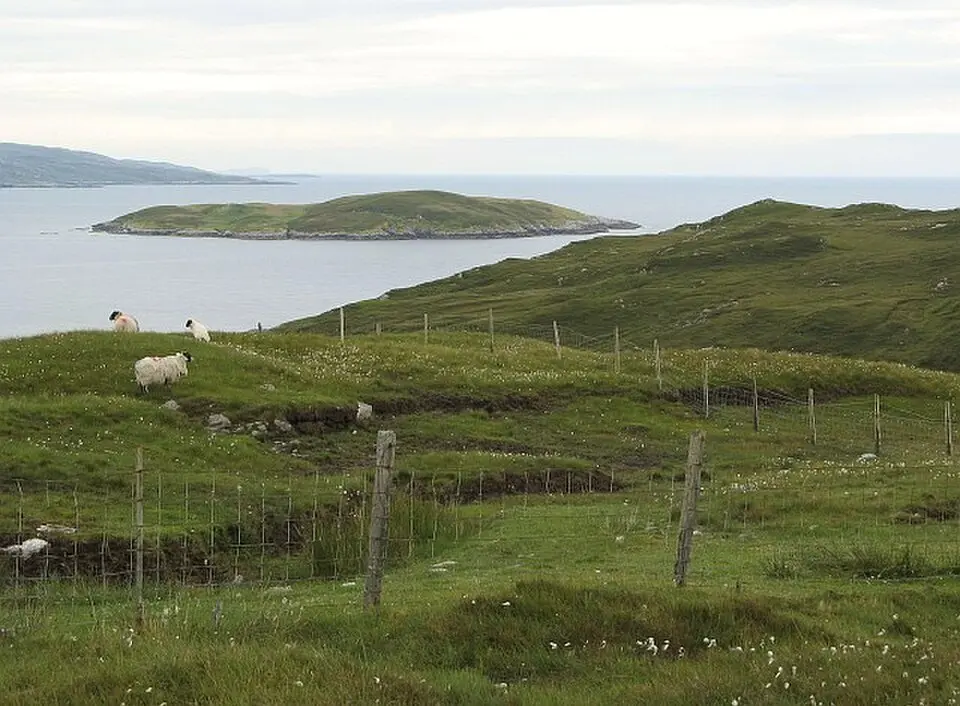 Soay Mòr