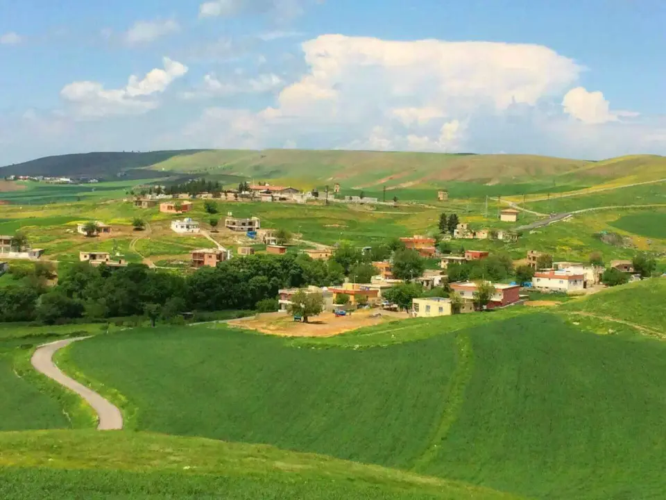 Oğuz
